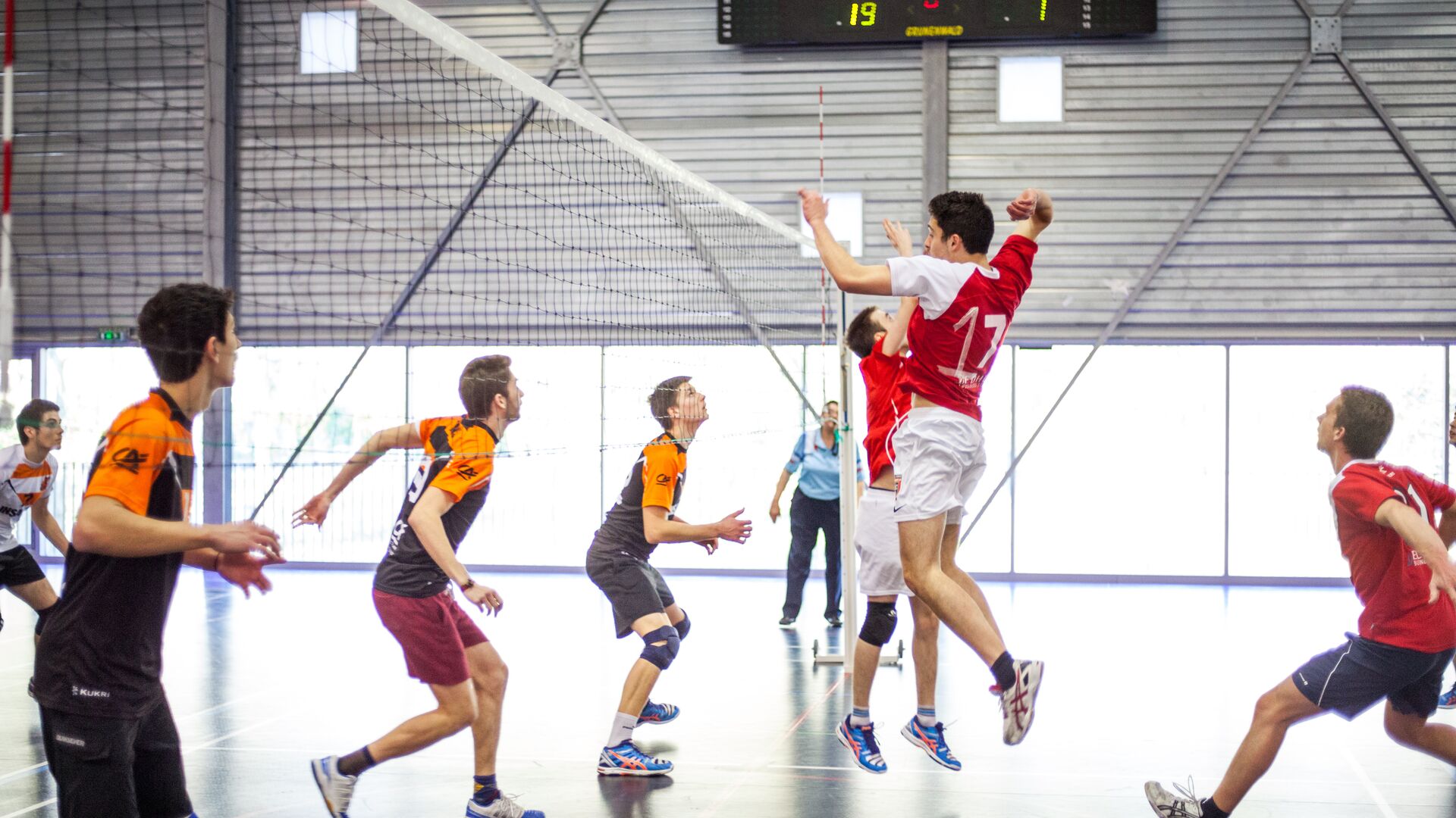 Volleyball EDHEC Lille