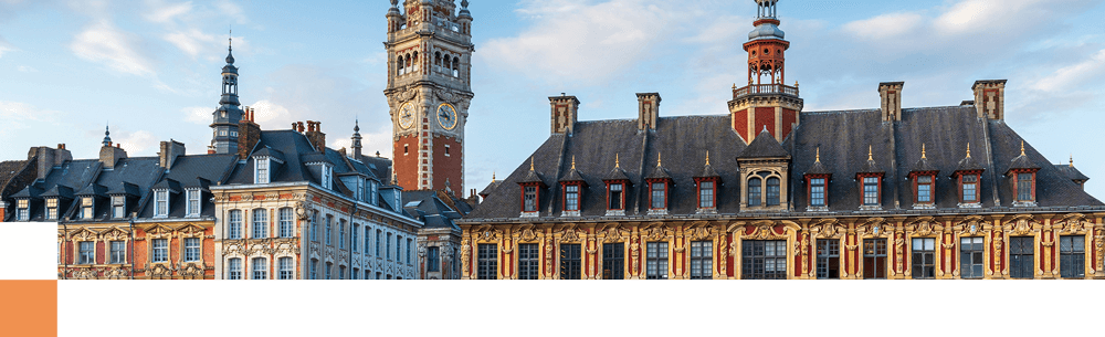Photo de la vieille bourse et du beffroi de Lille
